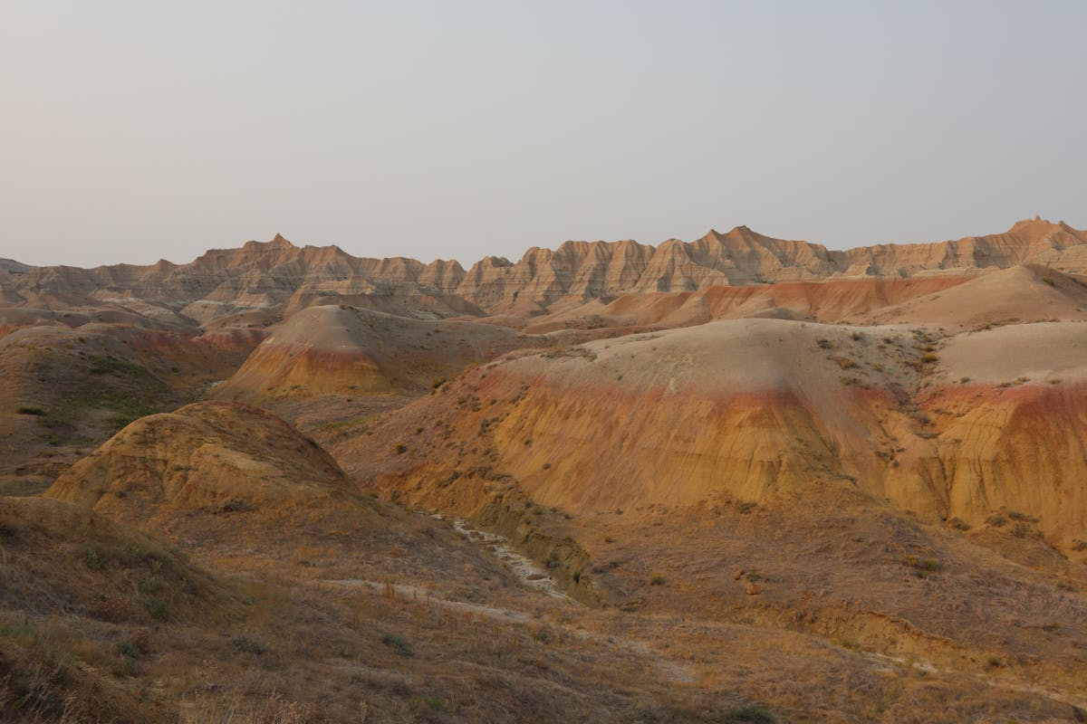 ¿Este Poeta Era o No Era el Rey de la Neurosis? 🤯