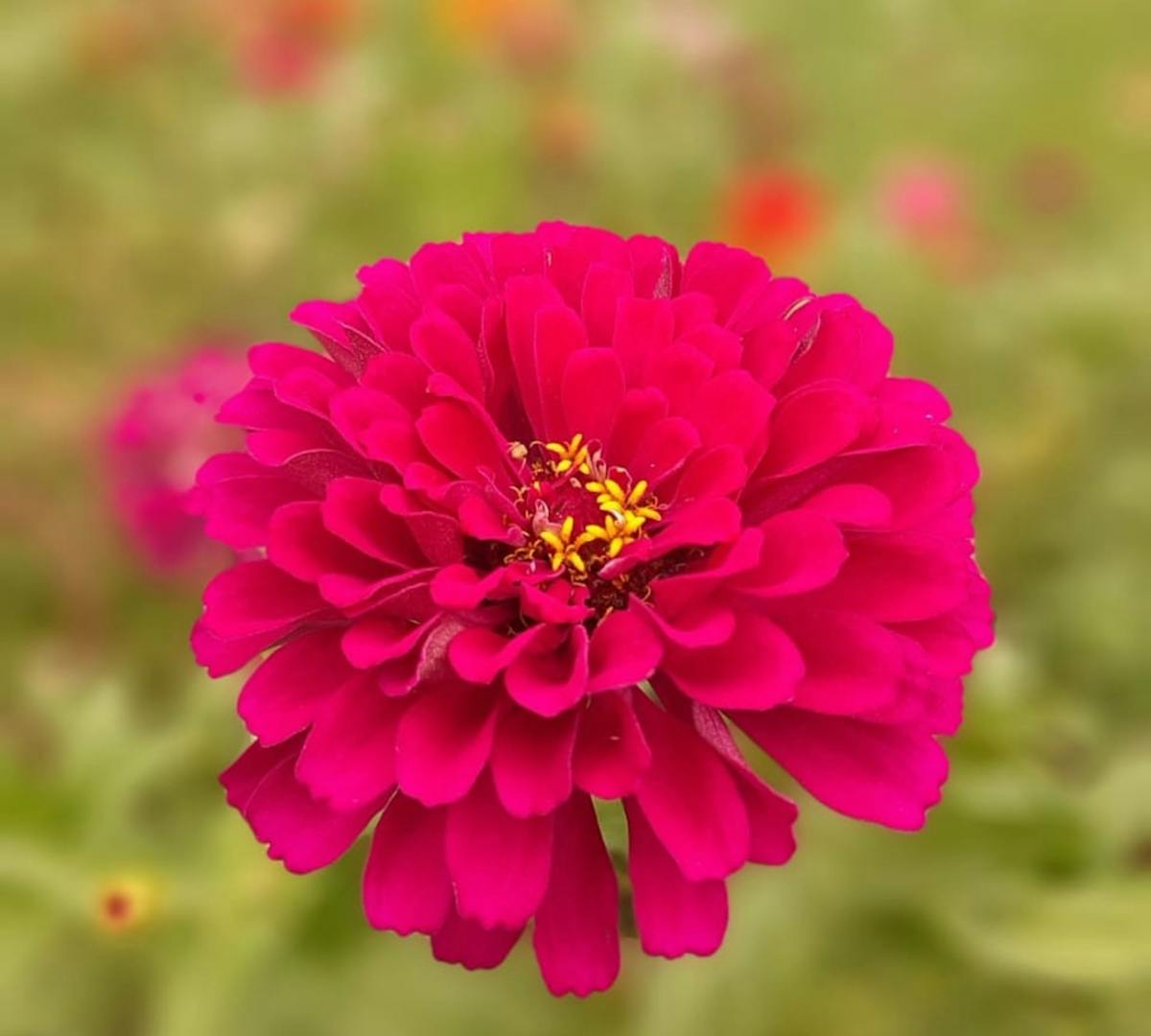 😱 ¿Cáncer? ¡Sigue Escuchando... a un Oncólogo!