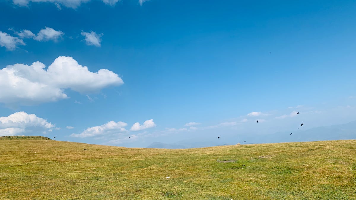 ¡Choque de 59 autos! ¿Quién se queda sin gasolina ahora? 🚨