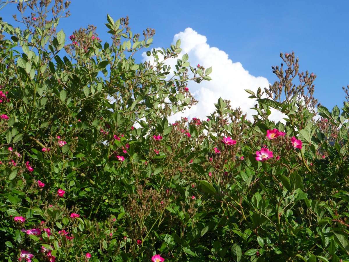 😂 ¿Saltar al vacío es la nueva belleza? 🤯