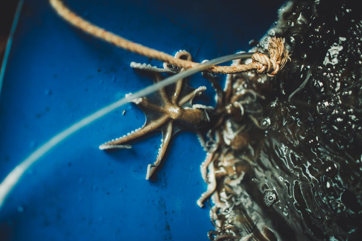 ¿Qué pasará si la ONU se calla sobre la cocaína? 🚨 - El Nacional