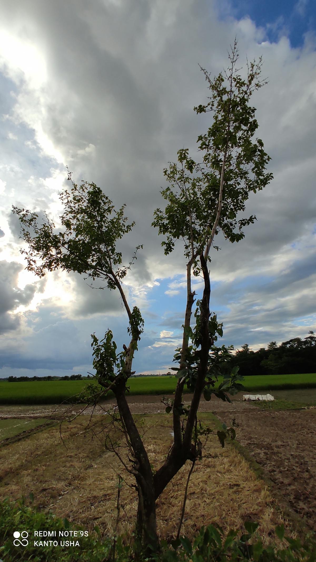 ¿Cosmic Bowling es el nuevo Tinder para Universos? 🚀