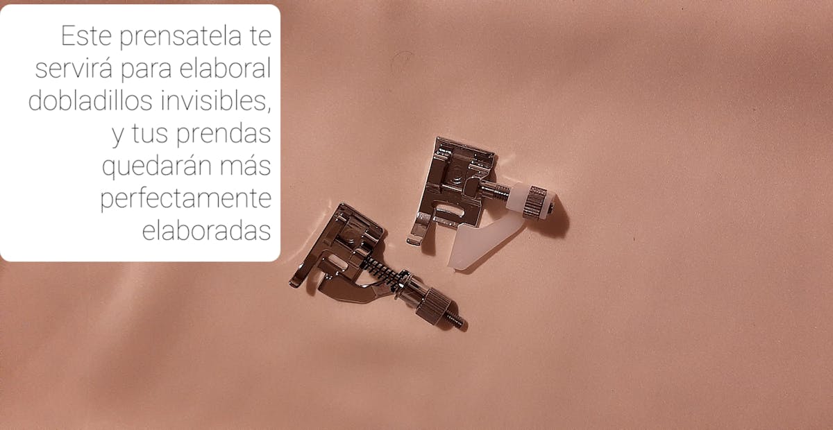 ¿200 Perros de Raza van a Robar el Título Nacional de Belleza? 🐶