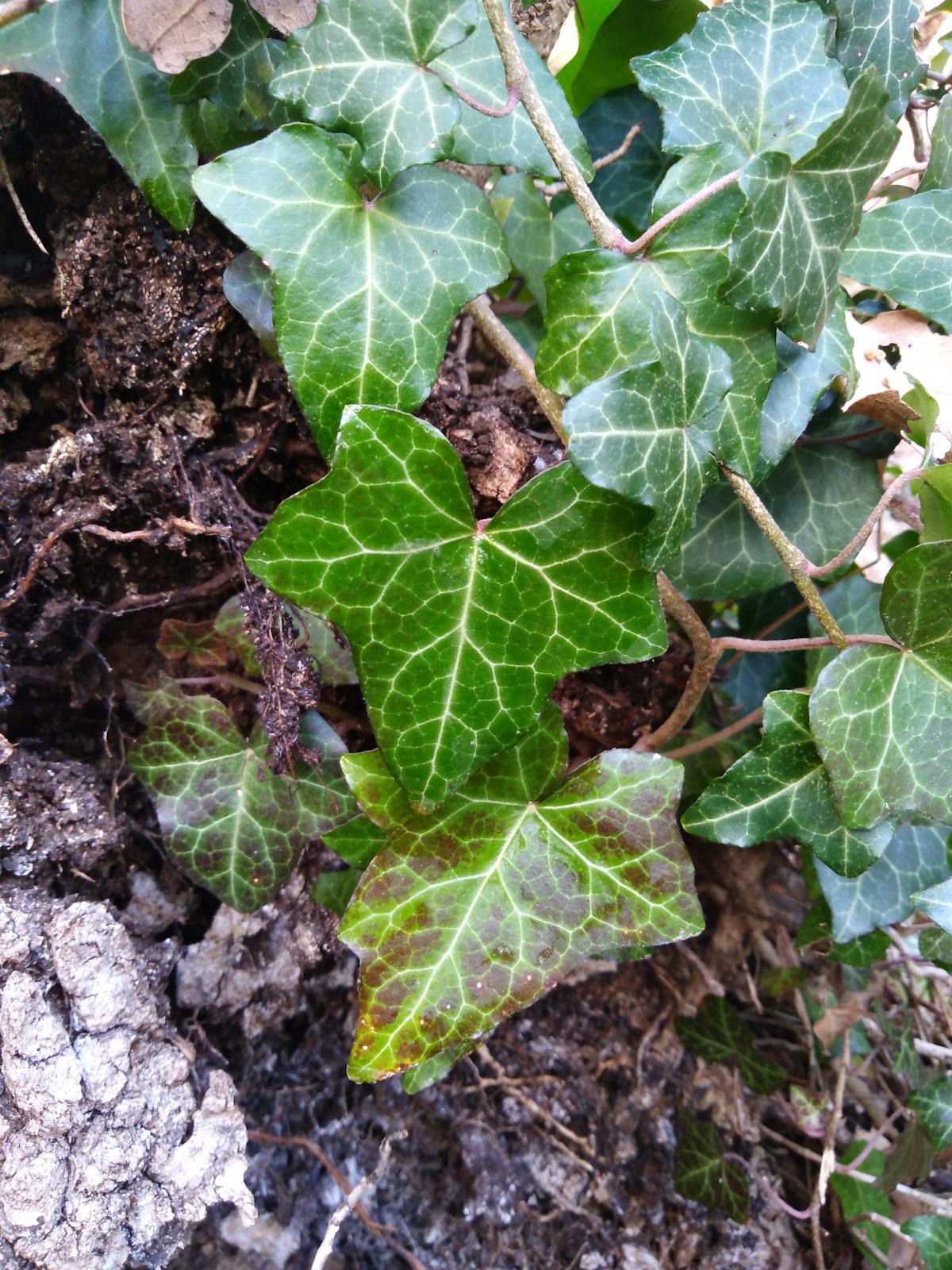 ¡Maldita la suerte! Vuelos a Miami desde Bs. As. ¡a partir de ...