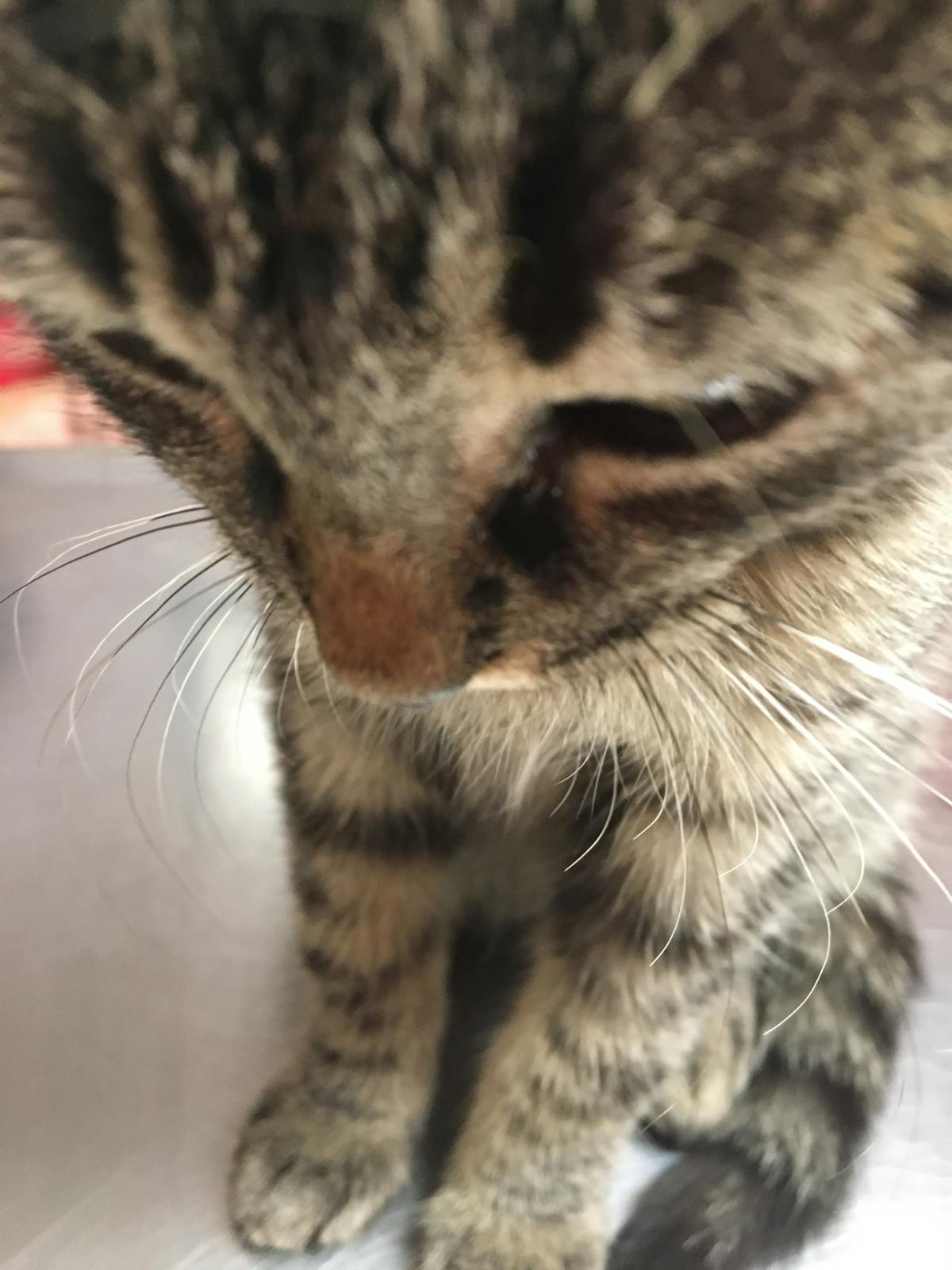 ¿Te Arriesgas a Un Corte de Pelo Que te Haga Parecer un Abuelo...