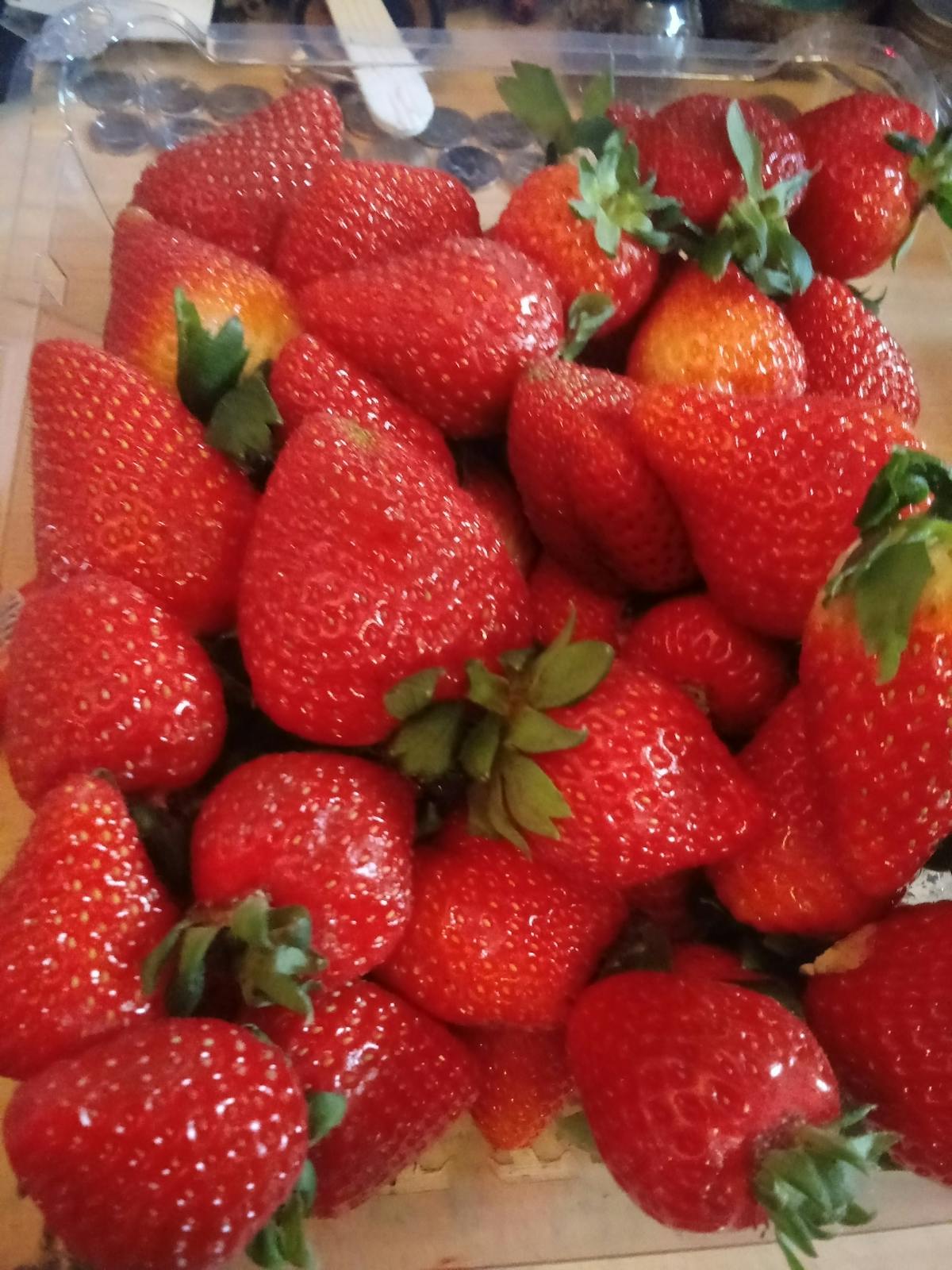 ¿Polk Award Winners? ¡Que les importa a ellos si nosotros no g...