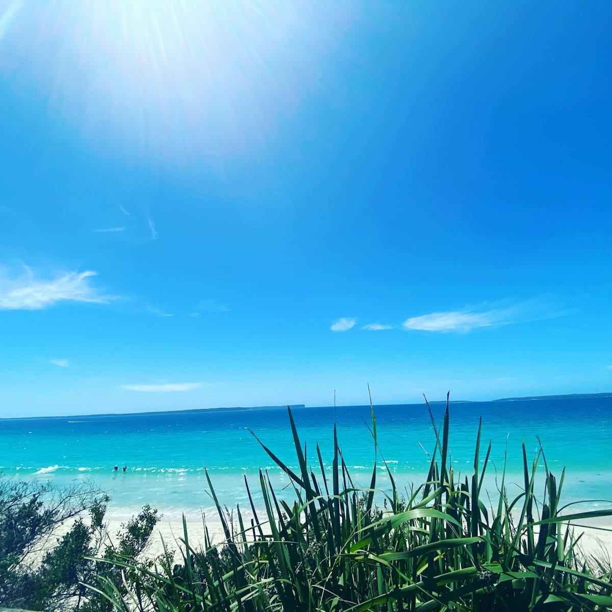 🎙️ ¿La Vida de Lisa Belkin es Muy Mejor que la Nuestra?