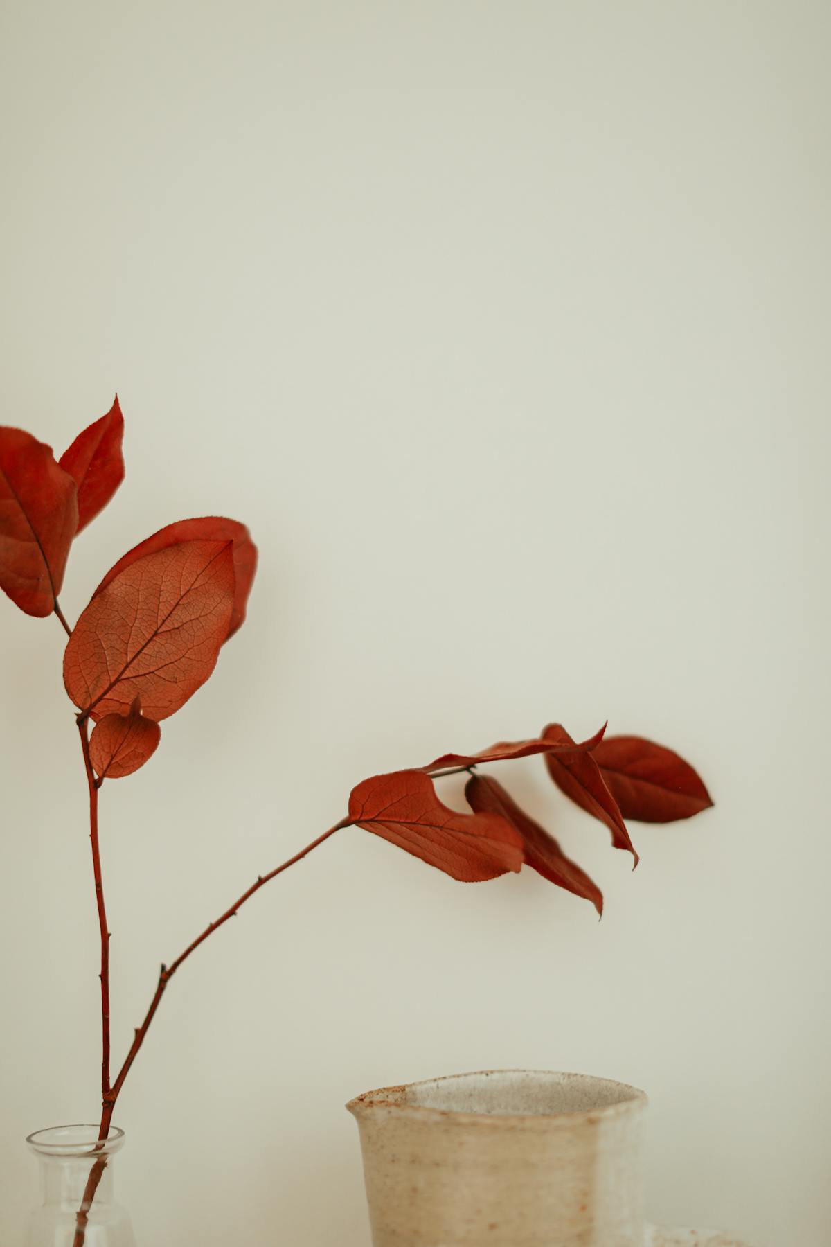 ¿Vino español? ¡Sí, pero no solo para abuelos! 🍷