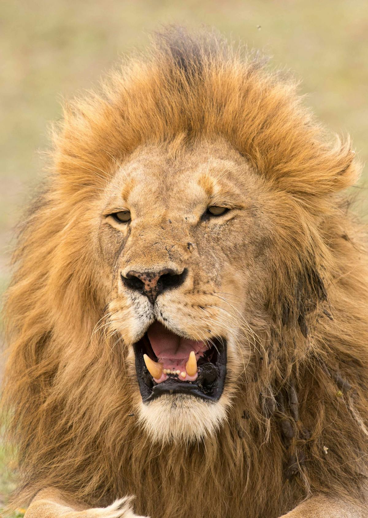 😂 ¿Quién es el Hombre de la Máscara detrás del Climatismo? 🚀