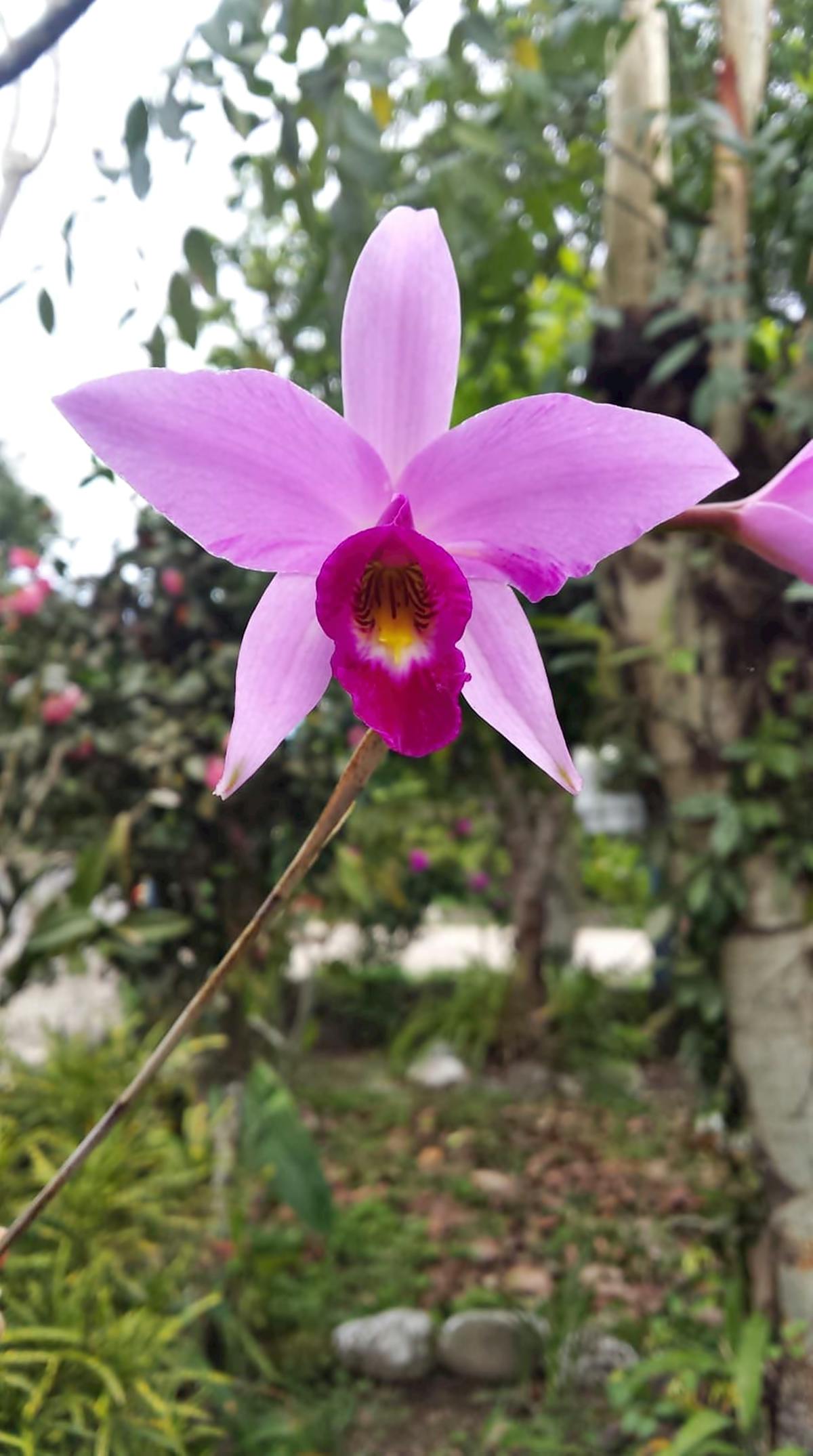 🏆 ¿Los Ganadores del Polk Award son Tanto Mejor como Parecen?