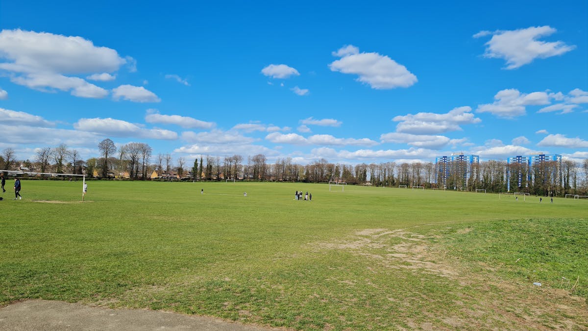 ¿Bogotá se va a salvar o solo van a plantar árboles? 🌳