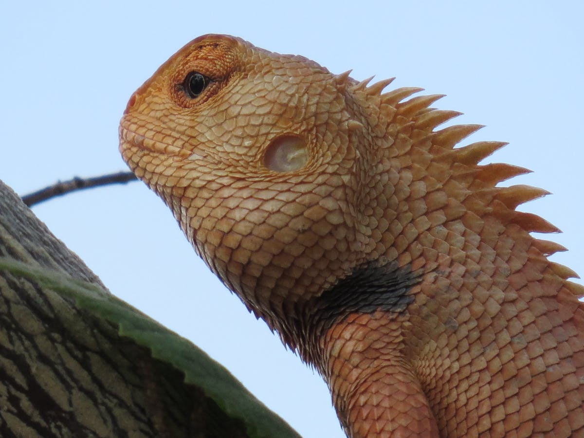 ¿Glamour o Borrachera en Dubai? ¡Sofía Zámolo y su hija Califo...