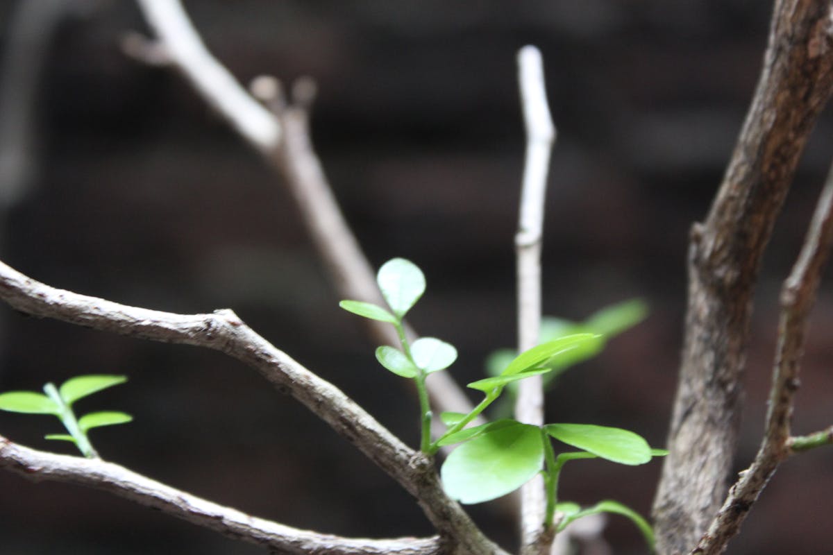 😂 ¿La Realidad Virtual es una Trampa o una Oportunidad? 🤖