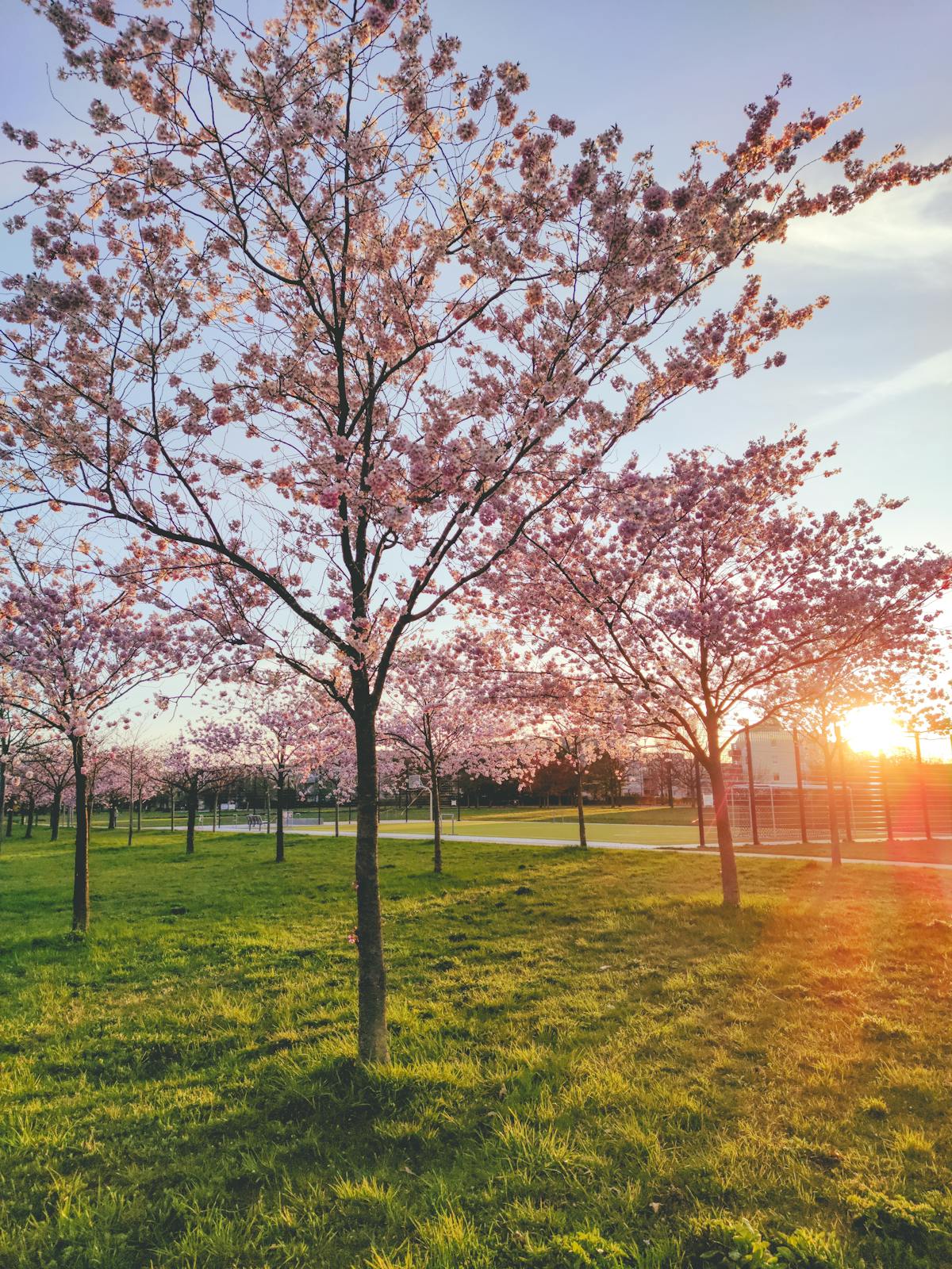 📰 ¿La Prensa Sigue Viviendo o Solo Es un Nostalgia?