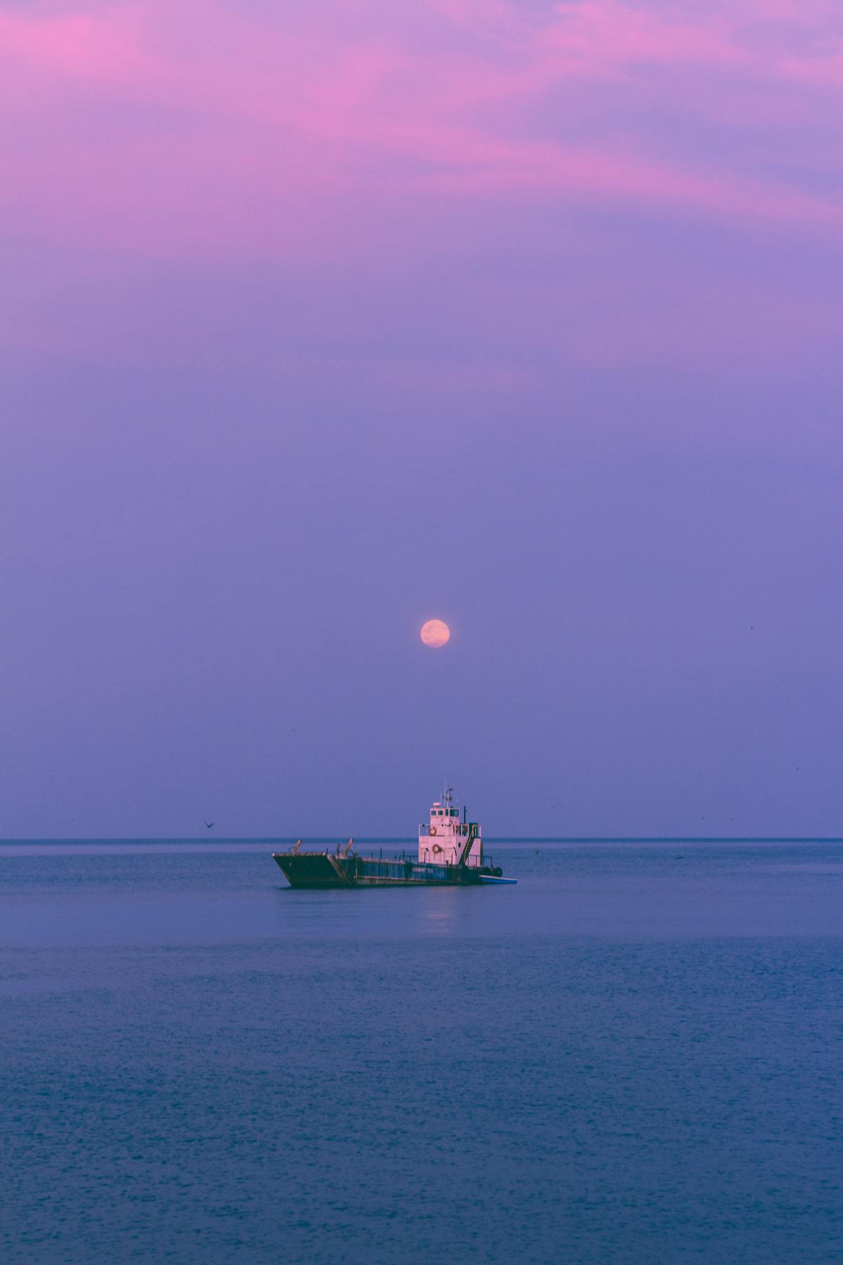 🏆 ¿Juega España la final de la Eurocopa de fútbol sala ...