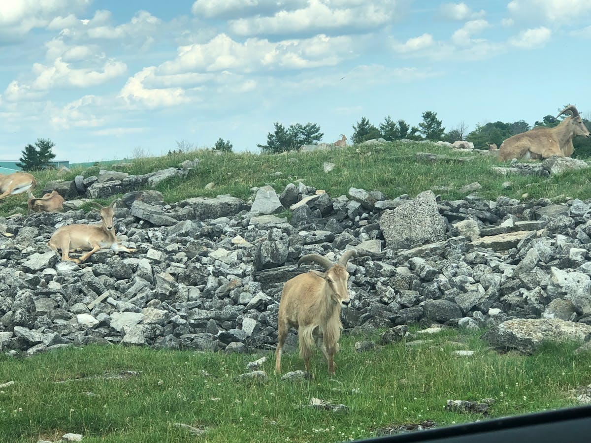 😱 ¿Quién Sobra en el Vial este Miércoles? 🚨