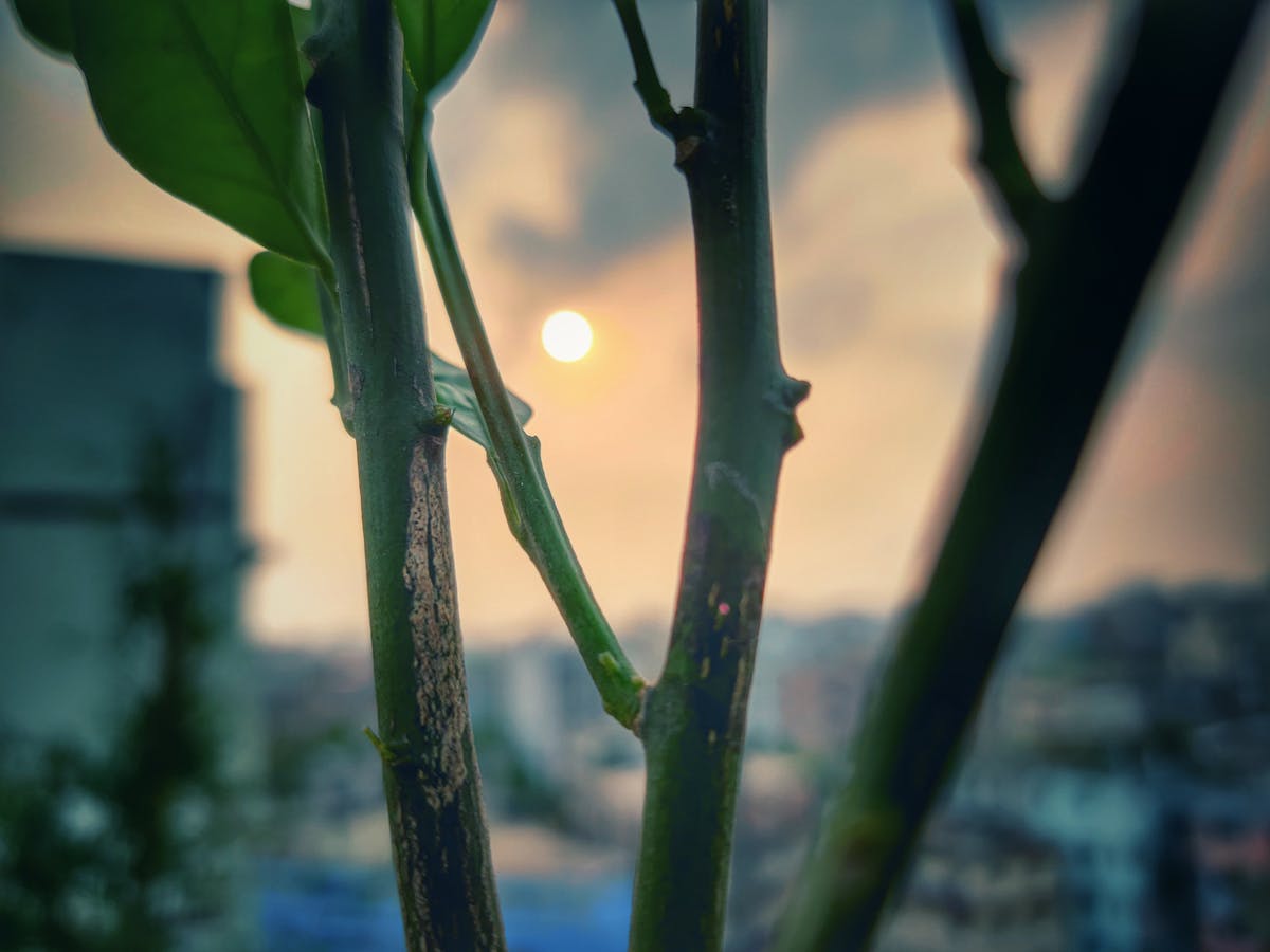 ¿Guadalajara Ya Llegó a la Calor de Verano? 🔥