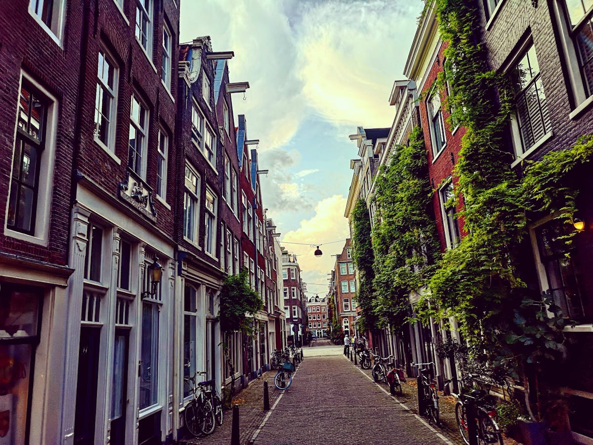 ¿La Fe les da la Raja o el Miedo los Hace Organizar? 🚫