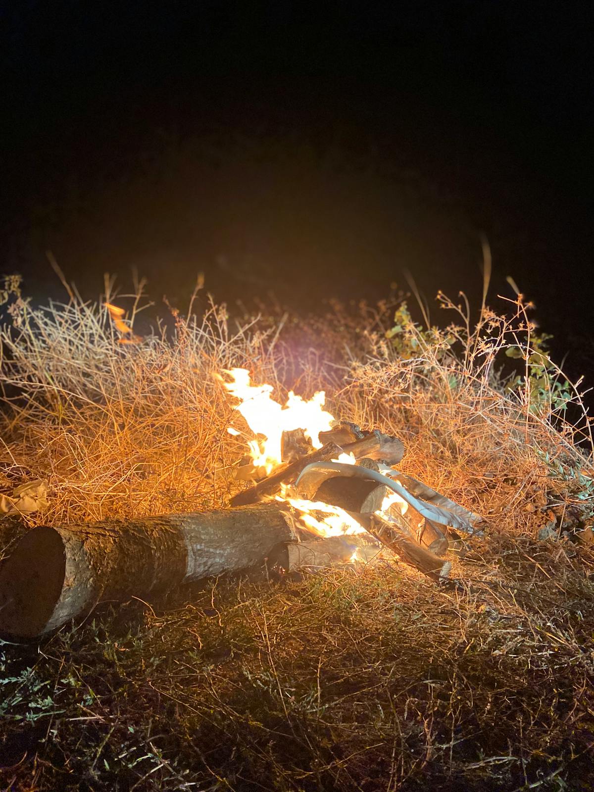 ¿De verdad Sam Fragoso sabe de literatura? 📚👀