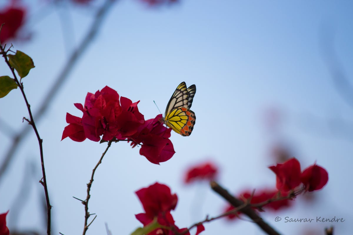 ¿Los Podcast de Longform Son o No son Legit? 🤔