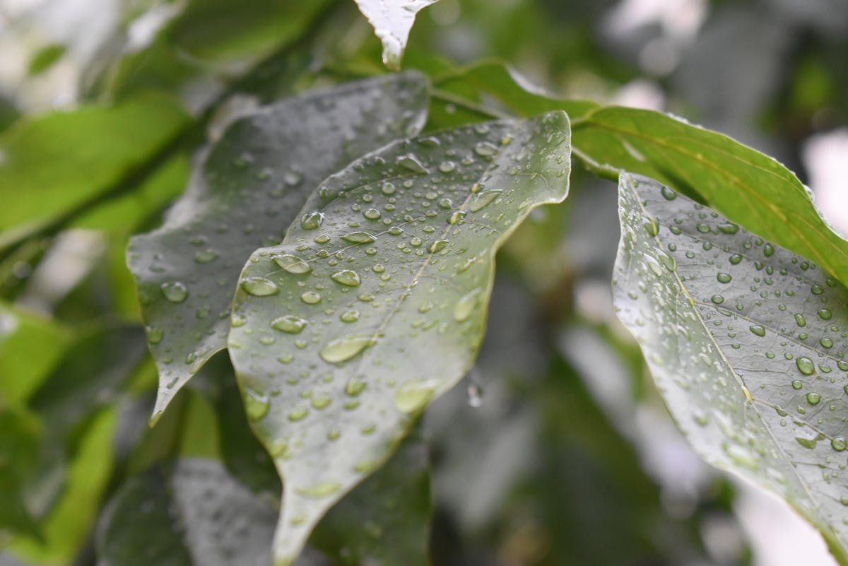 🌊 ¿Marina de Guerra Cuenta Con Un Radar... Realmente? 🤯