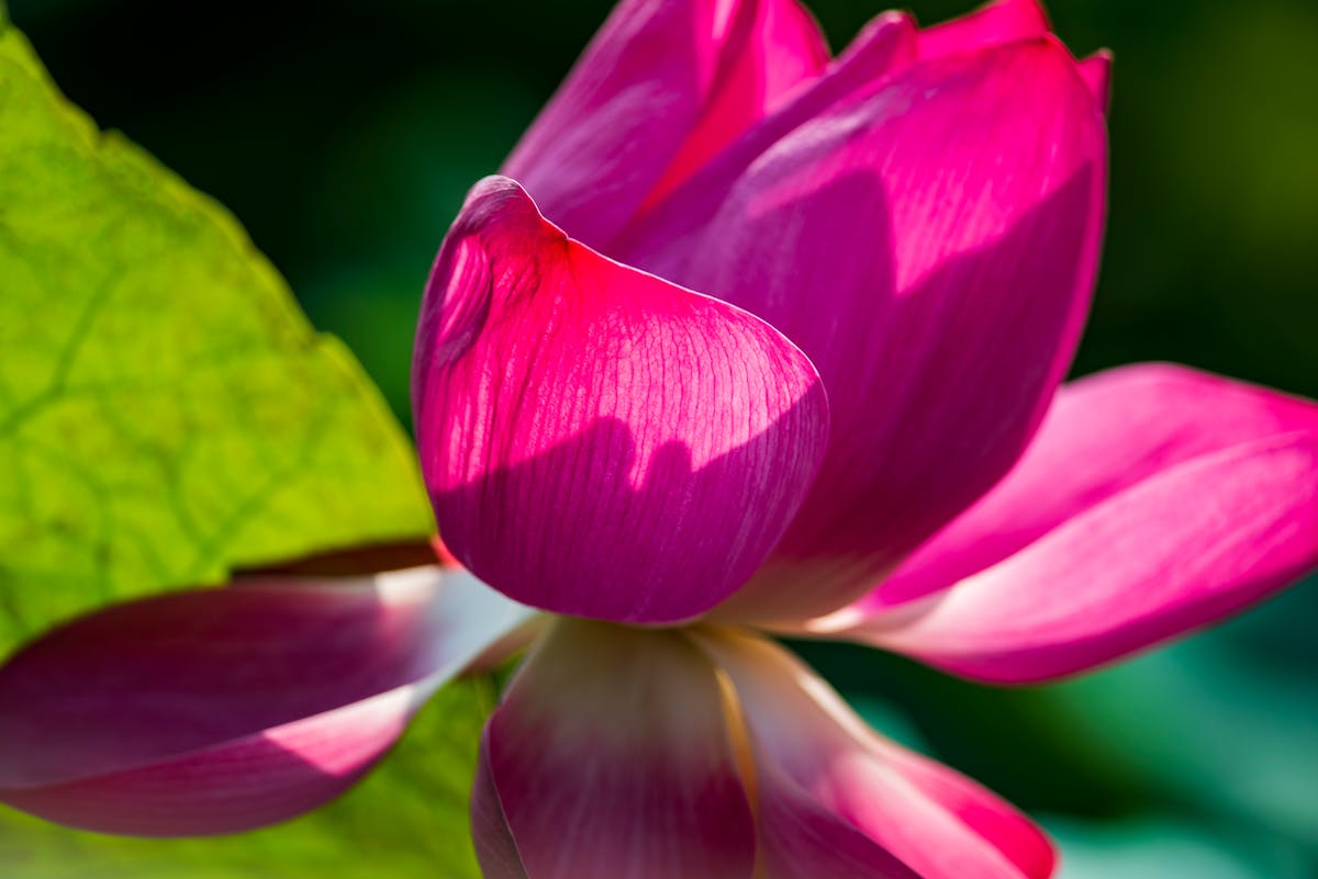 ¡Cáncer, ¿No Me Digas! 🚨 ¿Te Hiciste la Prueba?