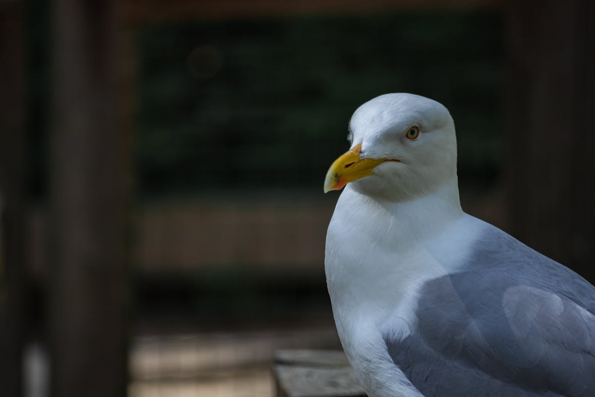 ✨ ¿Los Ganadores del Polk Award Saben Más que los Demás sobre ...