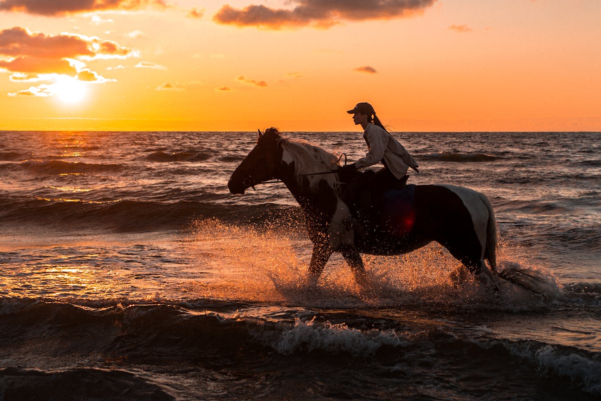 📻 ¿Podcast de longform o solo un tonto hablando?