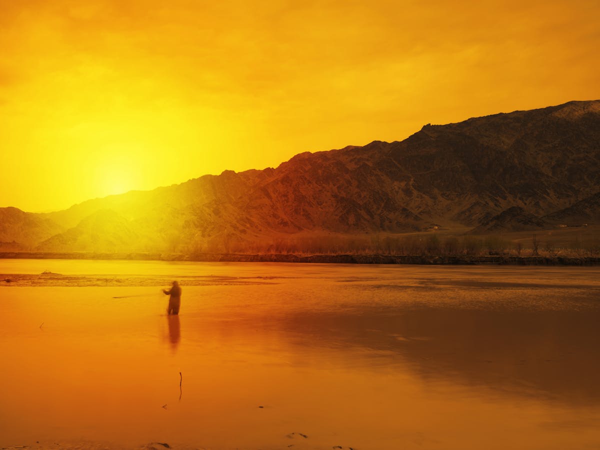 ¿La AI se Calló el Trago? OLPops Juego Revoluciona a los Inver...