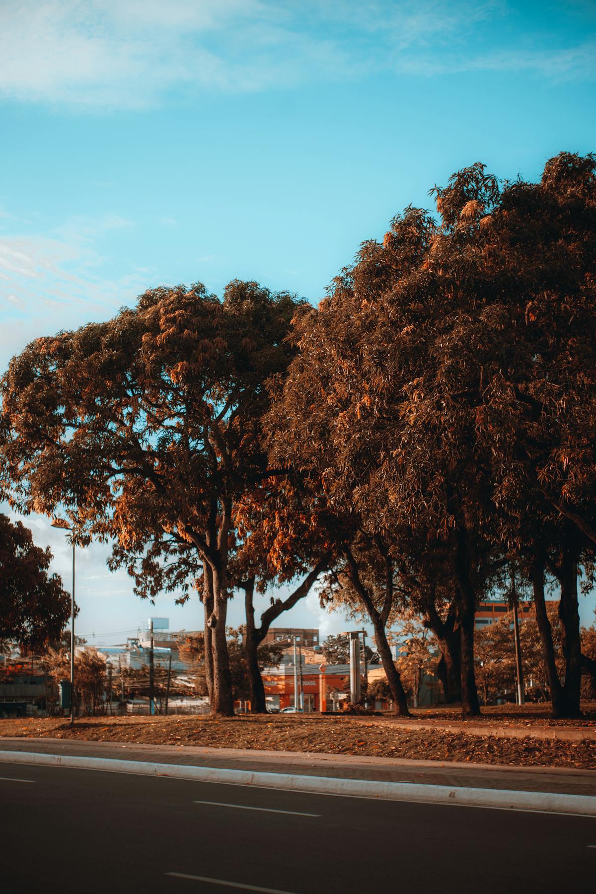 😱 ¿Fiscalía Jalisciense, ¿Dónde Estabas?