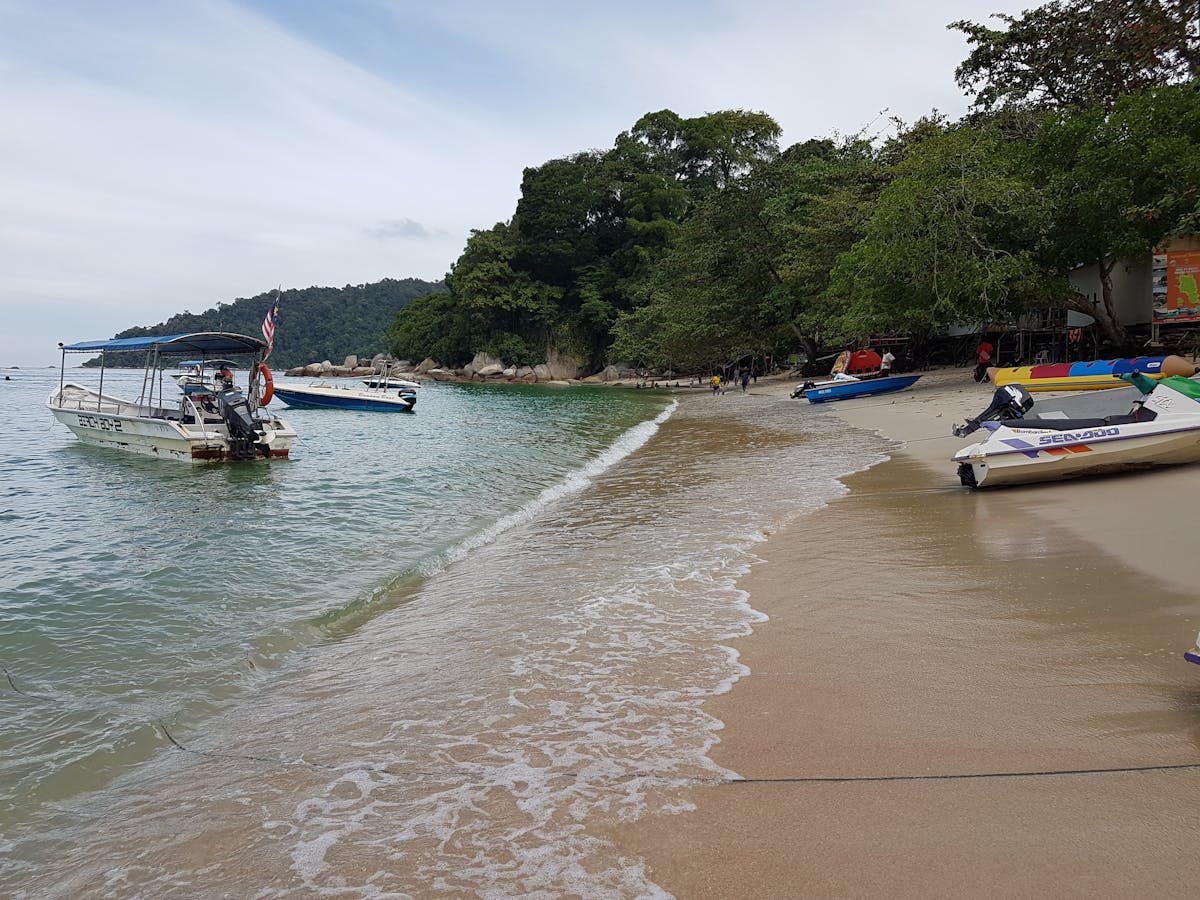 🚨 ¿De verdad crees que Zeke Faux es más auténtico que tus tías...