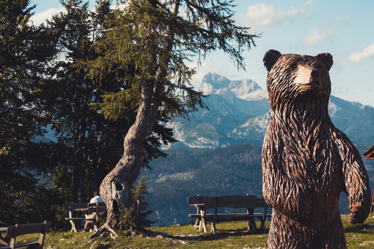¡Medellín, listo para ser vapuleado! 🚨 ¿Quién puede detener el...