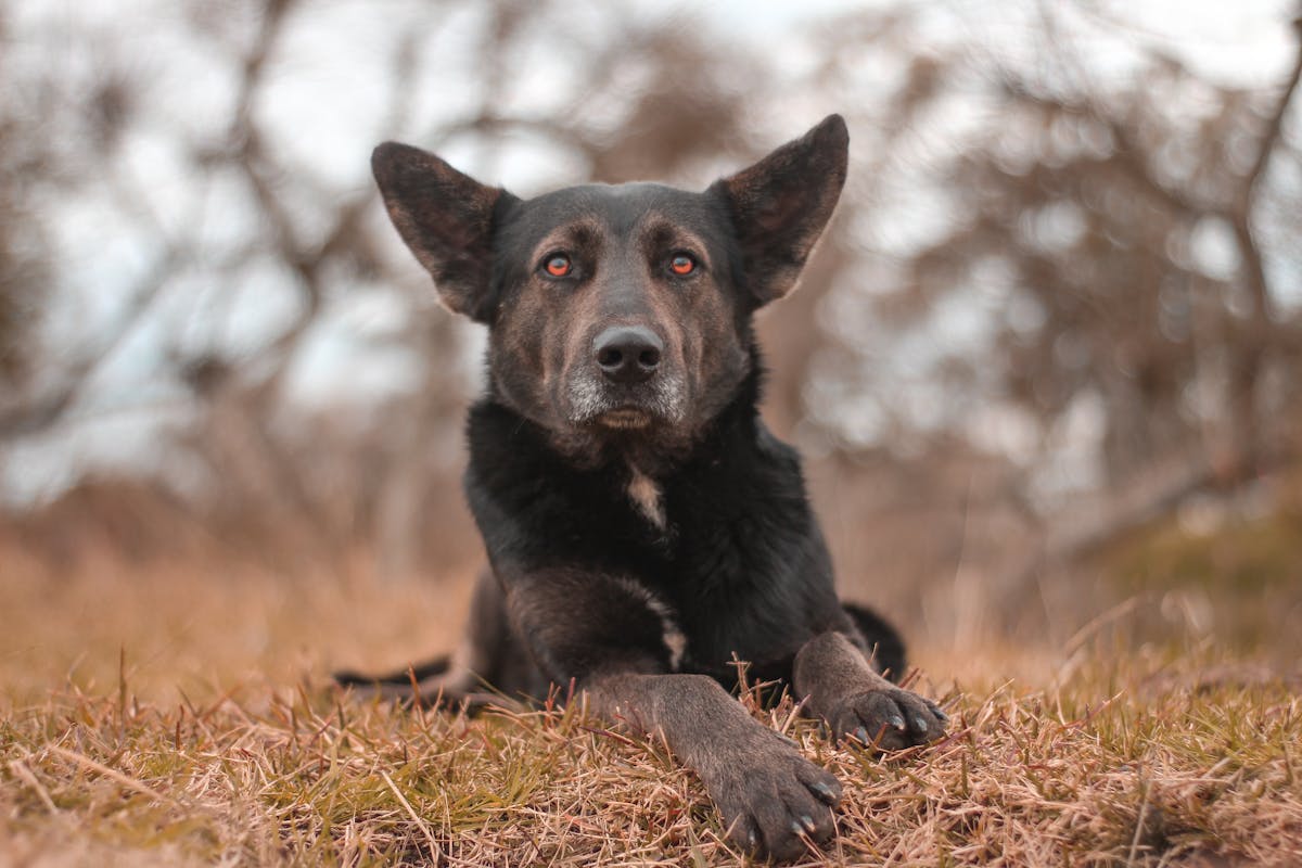 ¿Cuándo va a terminar esta temporada de fútbol? 🤯