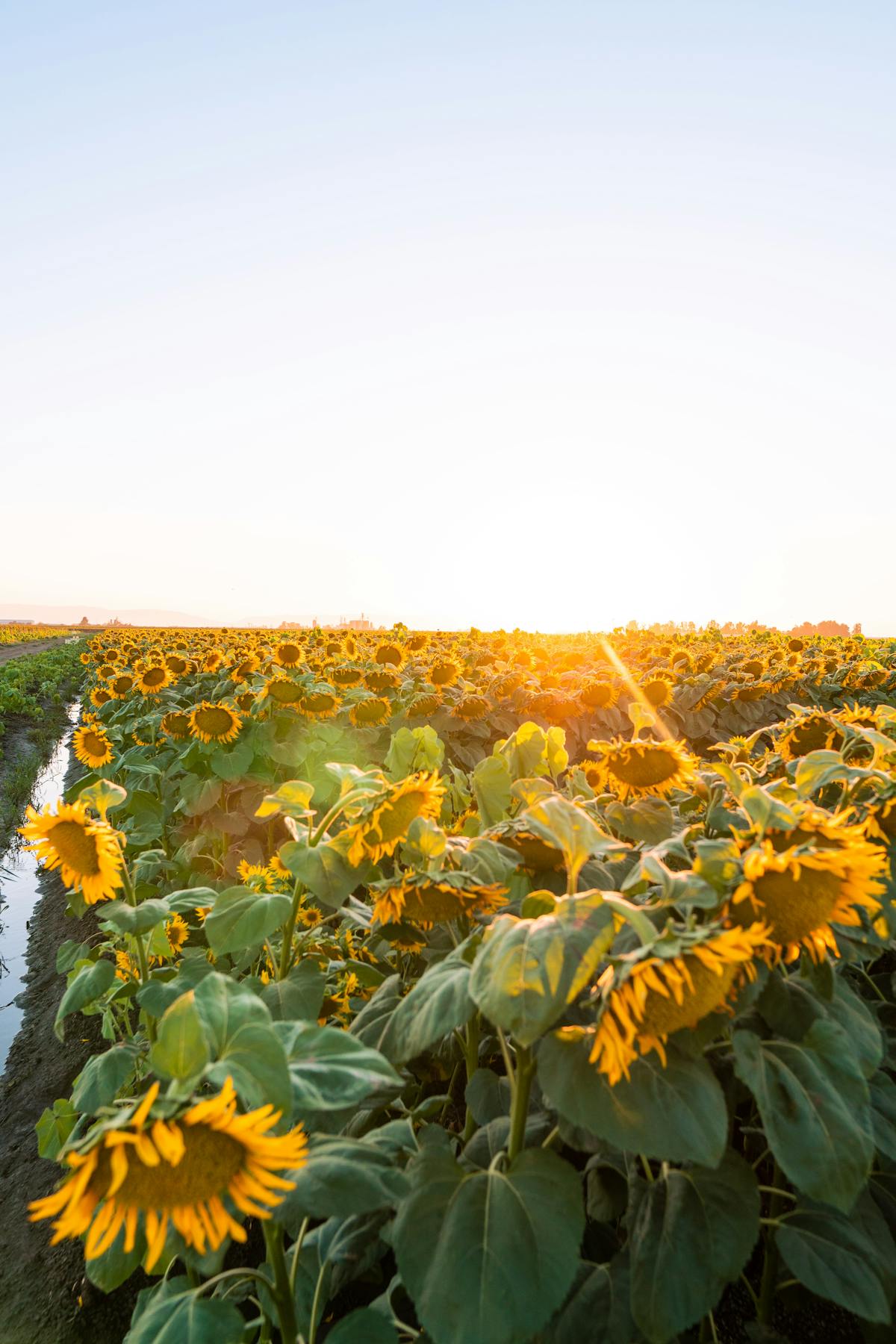 😂 ¿Rusia se Rinde ya? 💥