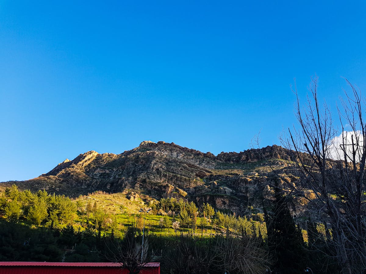 ¿El estilo de TikTok es más fuerte que la realidad? 🤣