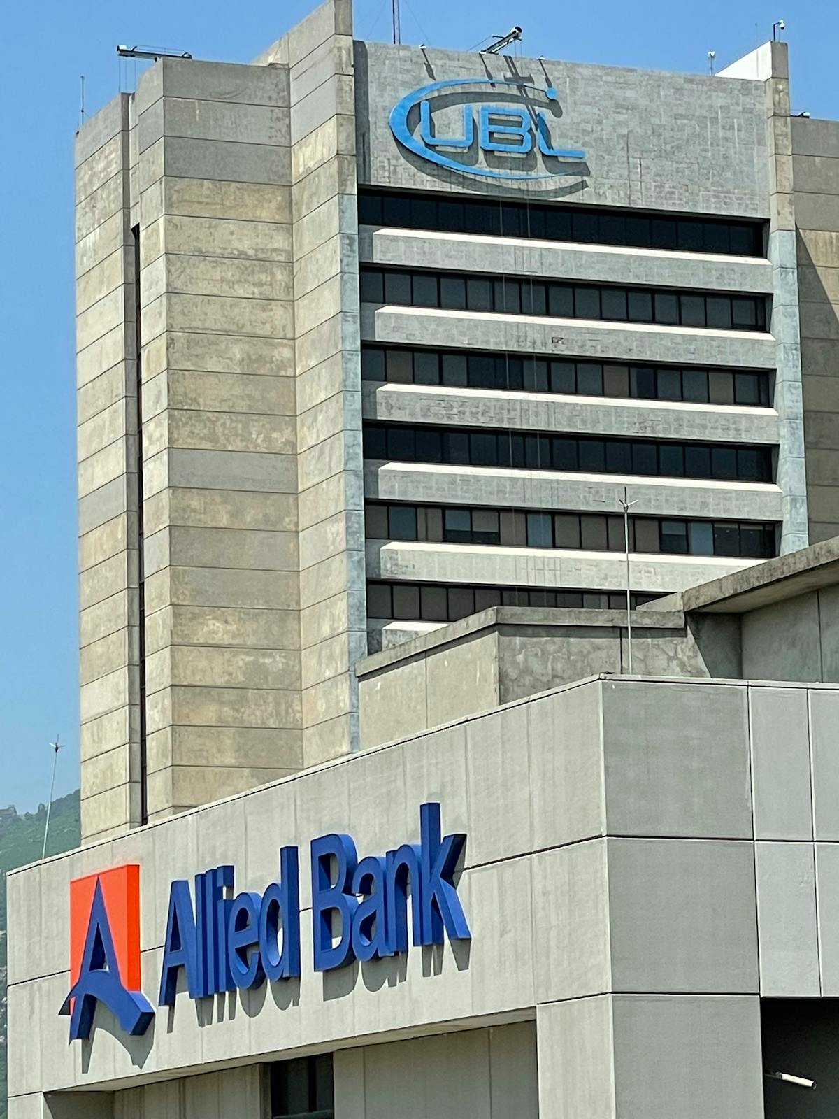 La periodista Lori Hinnant: ¿Ganó un Polk Award por Exponer la...