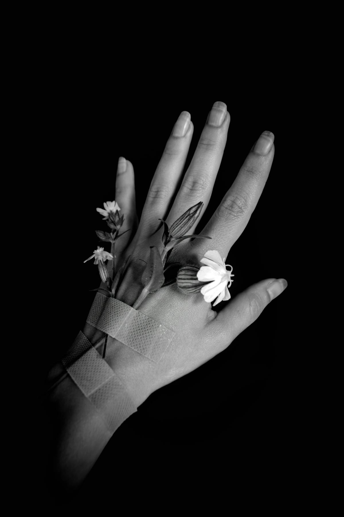 ¿Escribirás tus secretos en línea? 📝