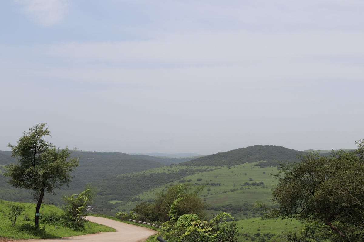 🚨 ¿Qué onda hay en D-Town esta semana? ¡Descubre los eventos m...