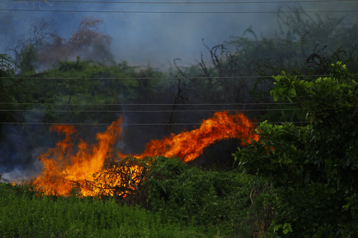 ¡Fentanilo para todos! ¿Cuántos chavos mueren por su culpa al ...