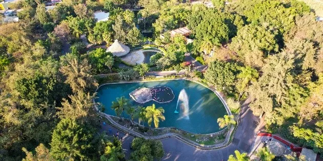 ¡Guadalajara no es solo para pobres! 🚀 ¿Puedes visitar los mej...