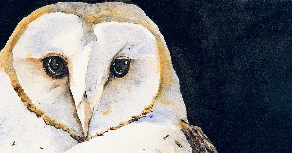 ¿Los pájaros también soñan con una REM de la vida? 🐦💤