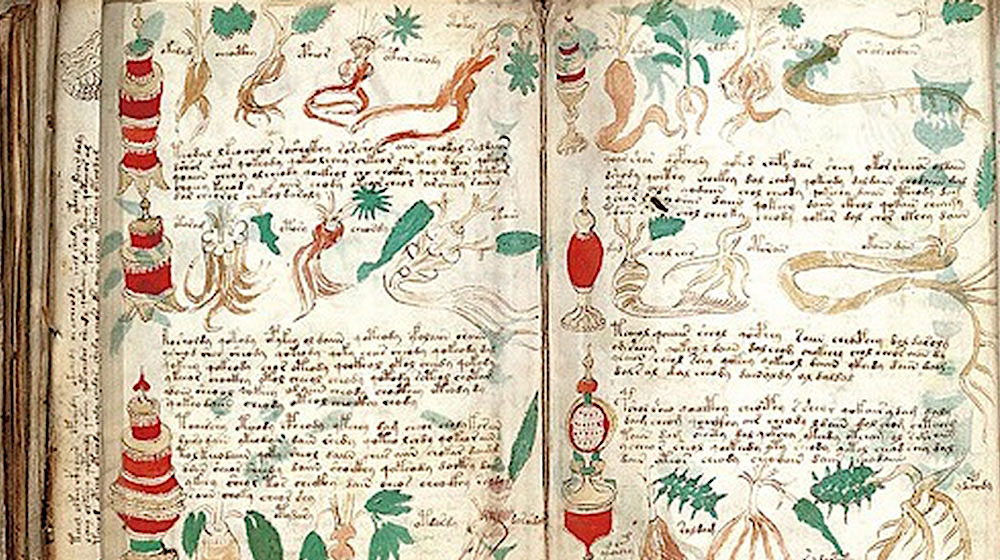 ¿Sabes leer esto? 😂 El manuscrito Voynich es un misterio 🤯