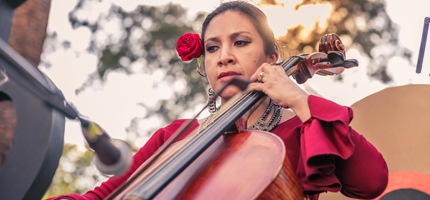 Loja vs. Lojistas: ¿Quién Se Rinde a la Música y Quién a l...