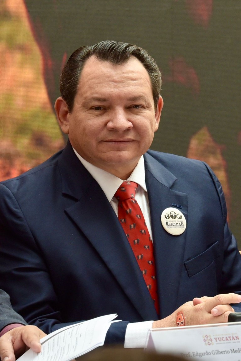 🚨 ¿Por qué respalda al gobierno quien tiene un ejército de seg...