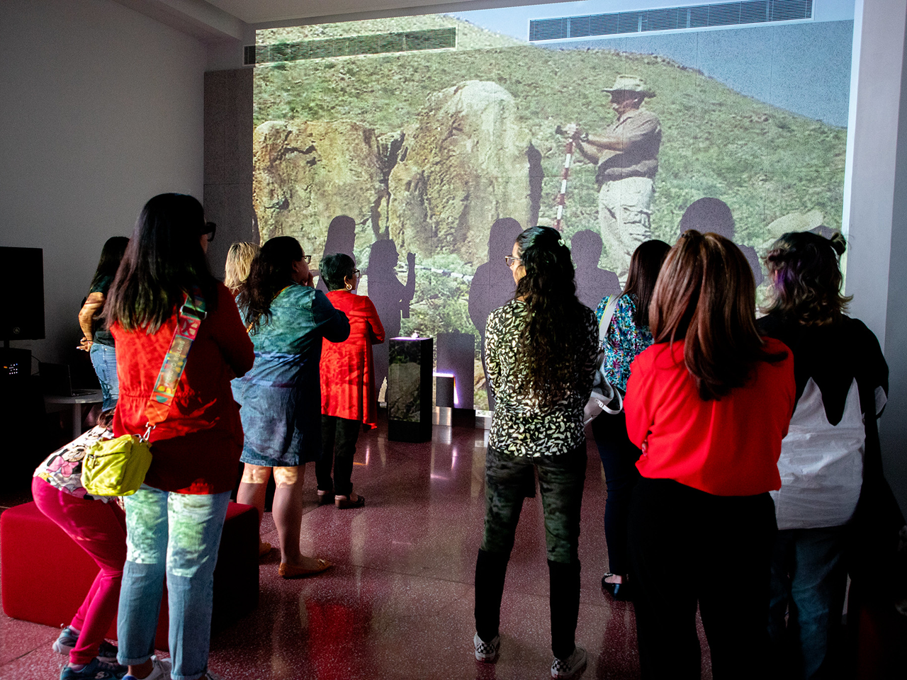 ¿Patrimonio? ¿Estamos hablando de que no nos robaron nada? 🤣