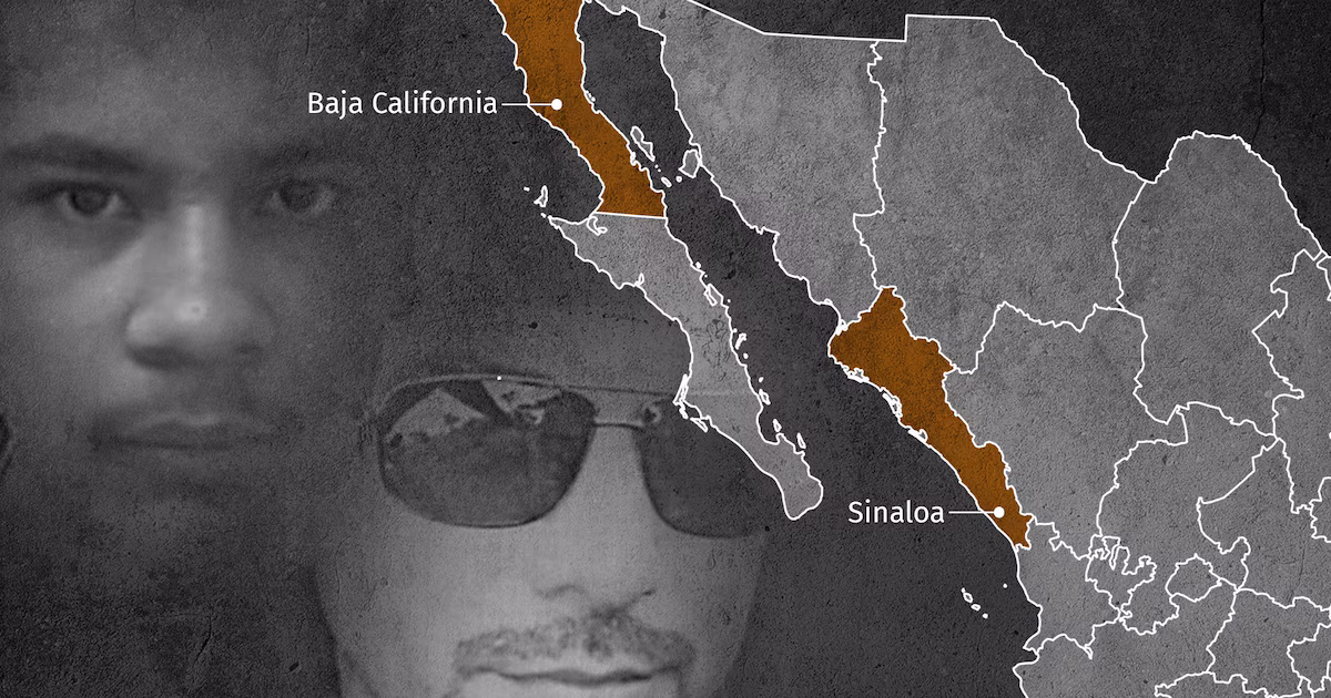 ¿La Rana y Aquiles son los nuevos narcoterroristas de la casa? 🚨
