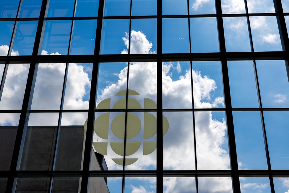 🚩 ¿Los Productos de ICI RDI son Verdaderamente Inclusivos o So...