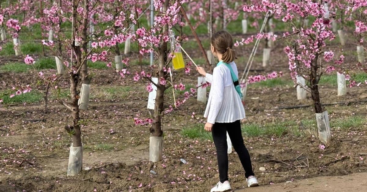 ¡No te pases! 🌺 800 personas sin ciberseguridad en Fraga