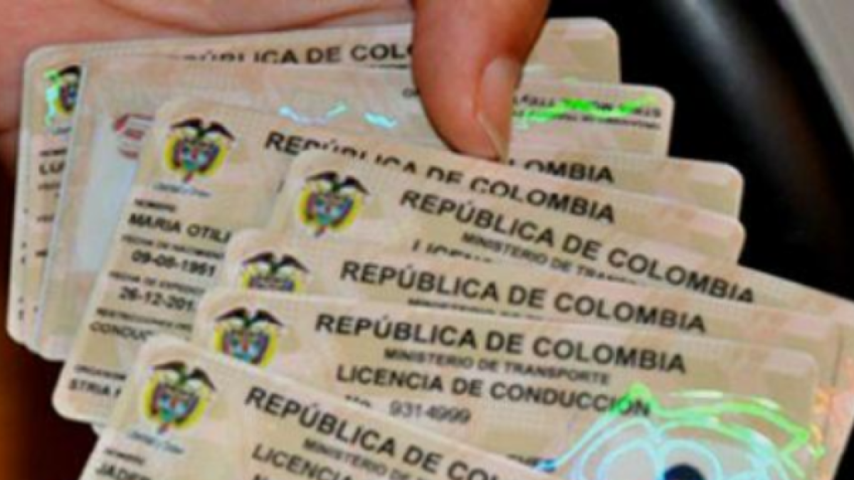 ¿Conducir es para todos? 🚗 ¡Gracias, ciudad de Bogotá!