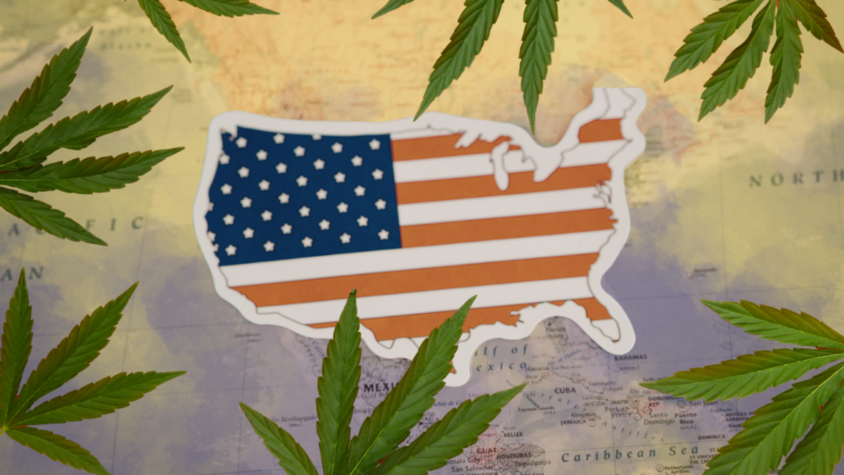 🚨 ¿La marihuana legalizada es la panacea o un problema más?